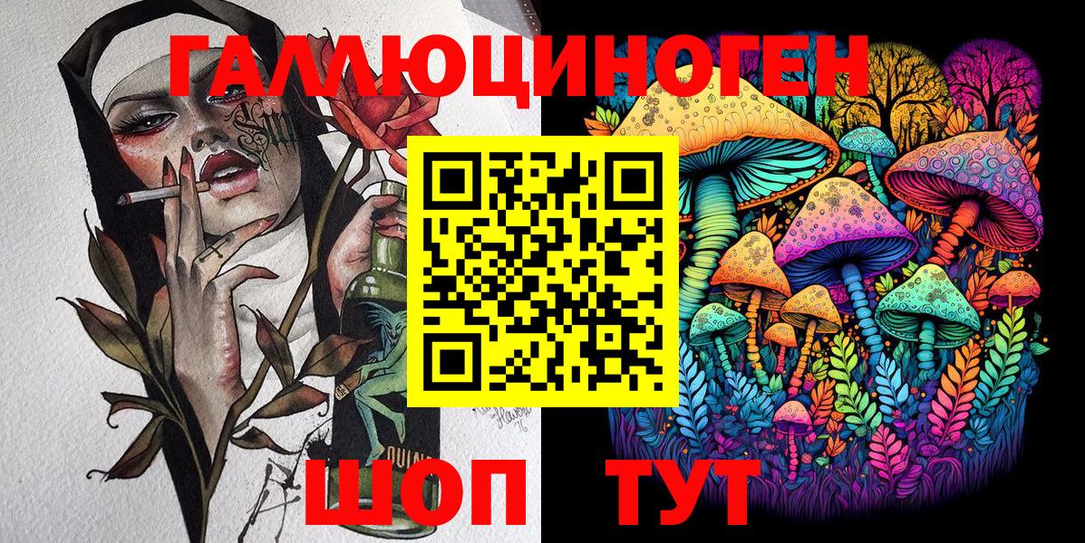 Псилоцибиновые грибы Psilocybe  Вход с VPN  Балашов 