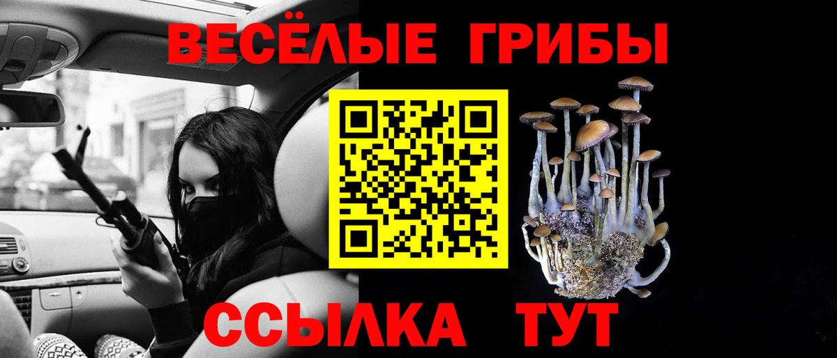 Галлюциногенные грибы Psilocybine cubensis Балашов